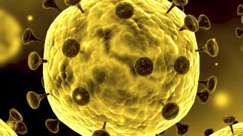 Coronavirus, in Puglia 69 nuovi casi: positivo il 3,25% dei tamponi